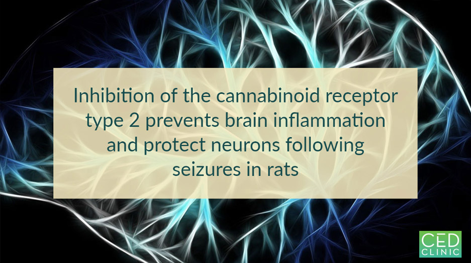 Inverse Agonism of Cannabinoid Receptor Type 2 Confers Anti-inflammatory and Neuroprotective Effects Following Status Epileptics