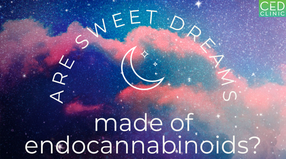 The Endocannabinoid System Modulating Levels of Consciousness, Emotions and Likely Dream Contents
