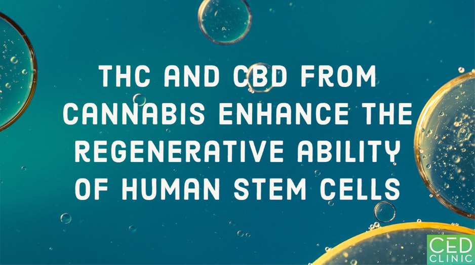 Role of cannabis components on the regenerative ability of stem cells