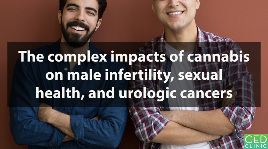 The relationship between cannabis and male infertility, sexual health, and neoplasm: a systematic review