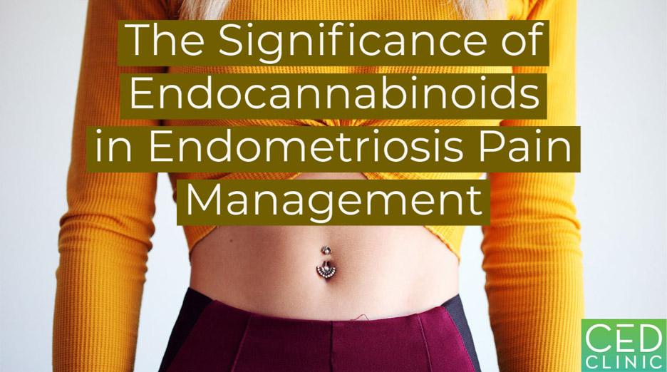 The Clinical Significance of Endocannabinoids in Endometriosis Pain Management