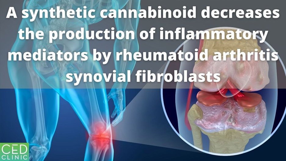 The synthetic cannabinoid WIN55,212-2 mesylate decreases the production of inflammatory mediators in rheumatoid arthritis synovial fibroblasts by acti