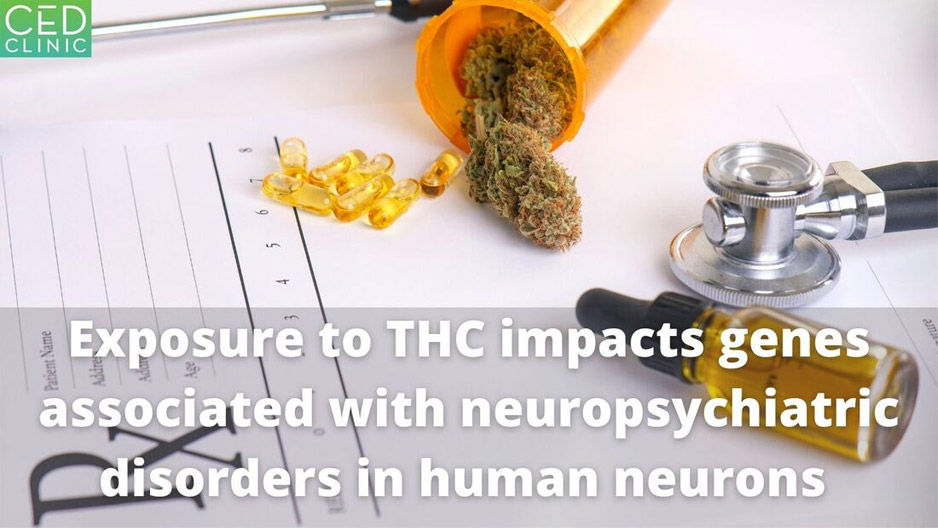 THC exposure of human iPSC neurons impacts genes associated with-  neuropsychiatric disorders