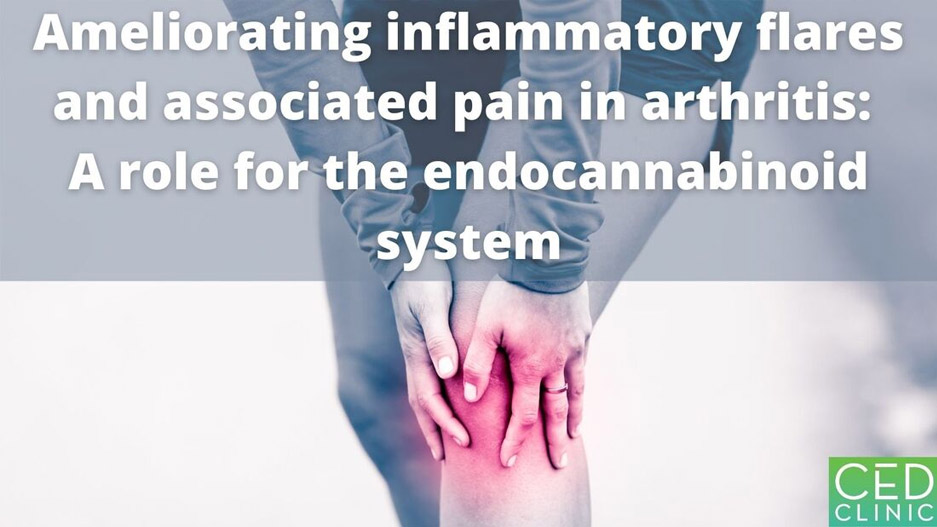 Tapping into the endocannabinoid system to ameliorate acute inflammatory flares and associated pain in mouse knee joints