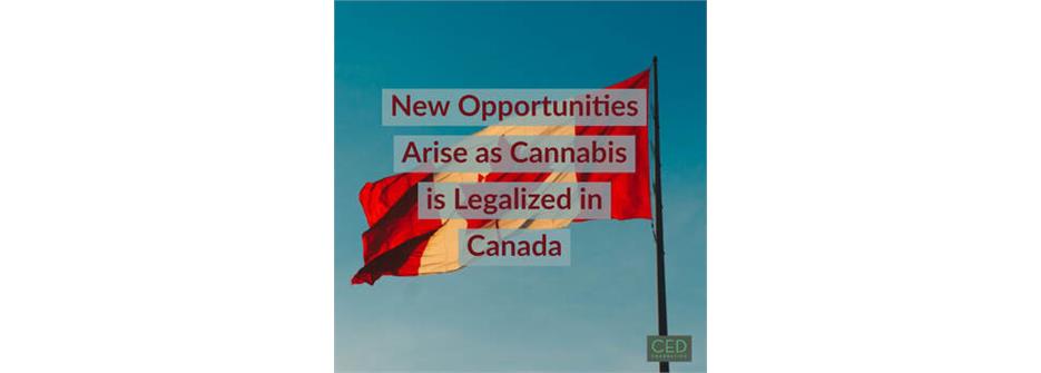  New Opportunities Arise as Cannabis is Legalized in Canada