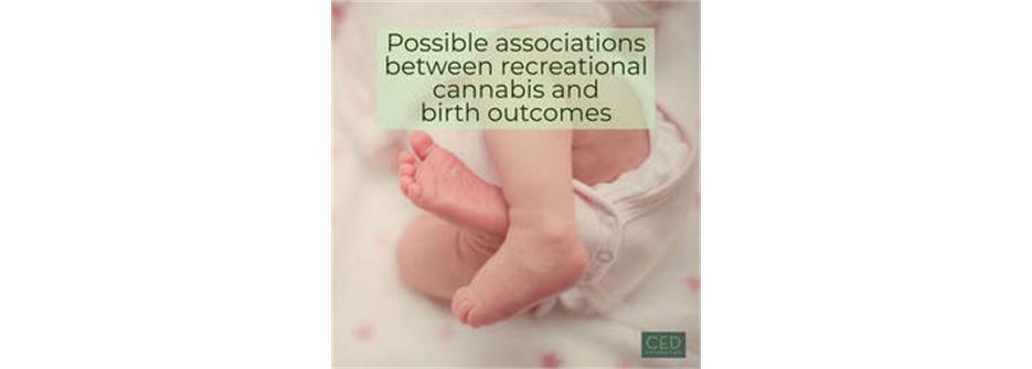 Possible Associations Between Recreational Cannabis and Birth Outcomes
