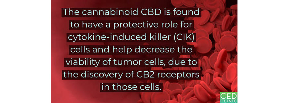  Cannabidiol may enhance the effectiveness of immunotherapy in multiple myeloma