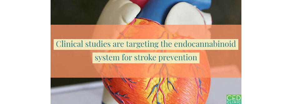 Targeting the endocannabinoid system for stroke prevention
