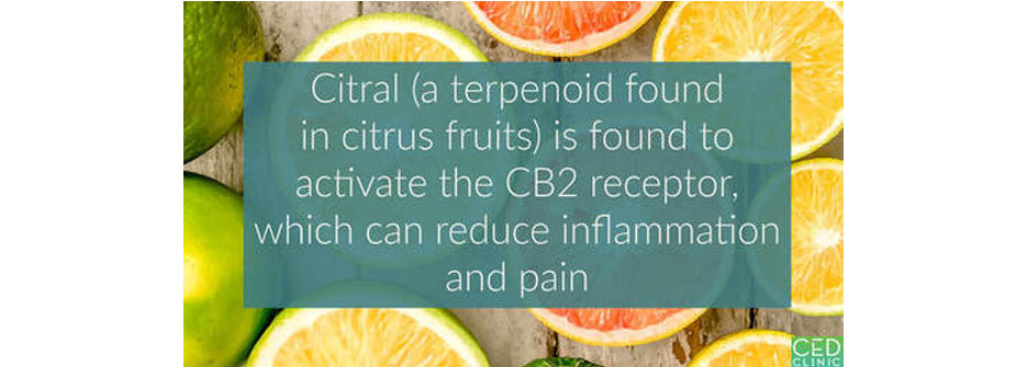  Citral, a natural activator of the cannabinoid receptor type 2, can help combat pain and inflammatory conditions