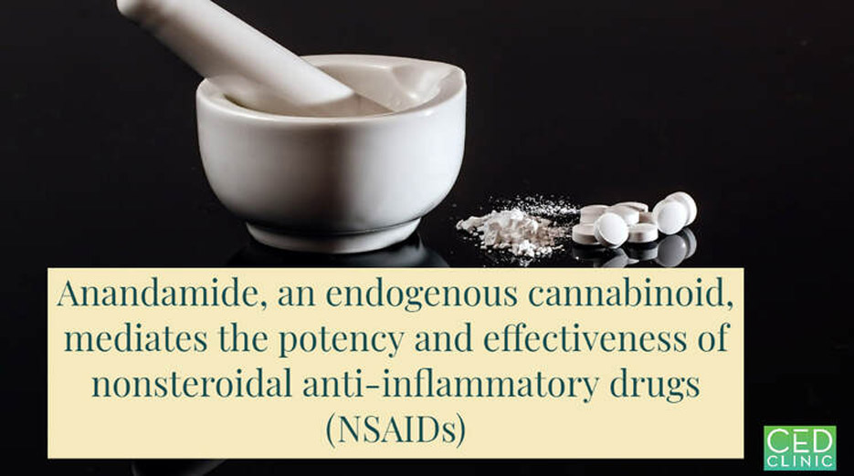 The endocannabinoid system mediates the enhanced analgesia and GI safety advantage of a newly developed NSAID derivative