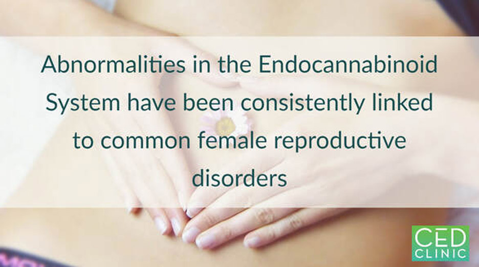  Abnormalities in the endocannabinoid system are associated with common female reproductive disorders