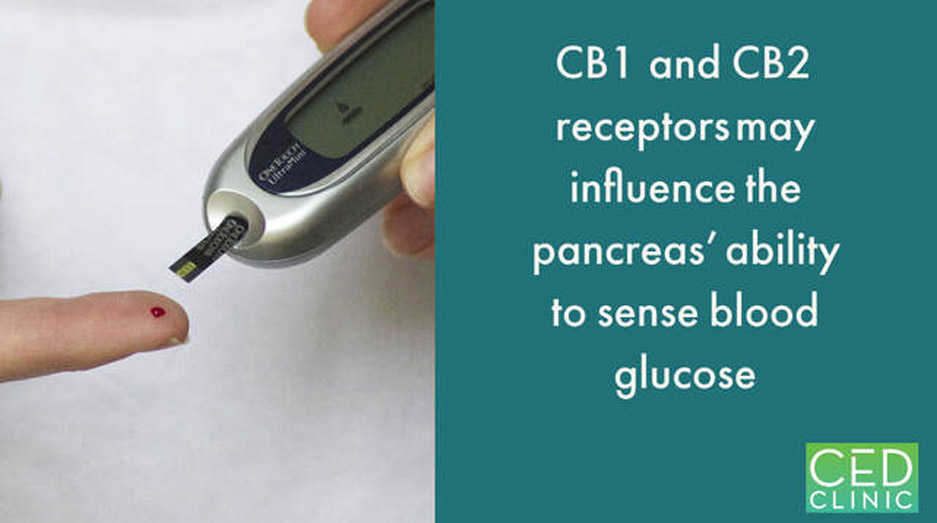 Targeting the cannabinoid receptors to regulate blood glucose level and body weight