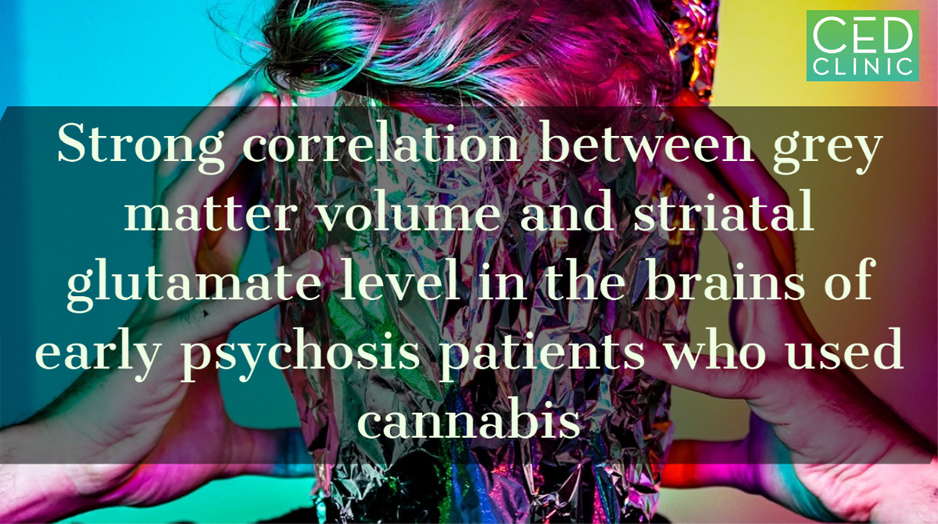 Strong correlation between grey matter volume and striatal glutamate level in the brains of early psychosis patients who used cannabis