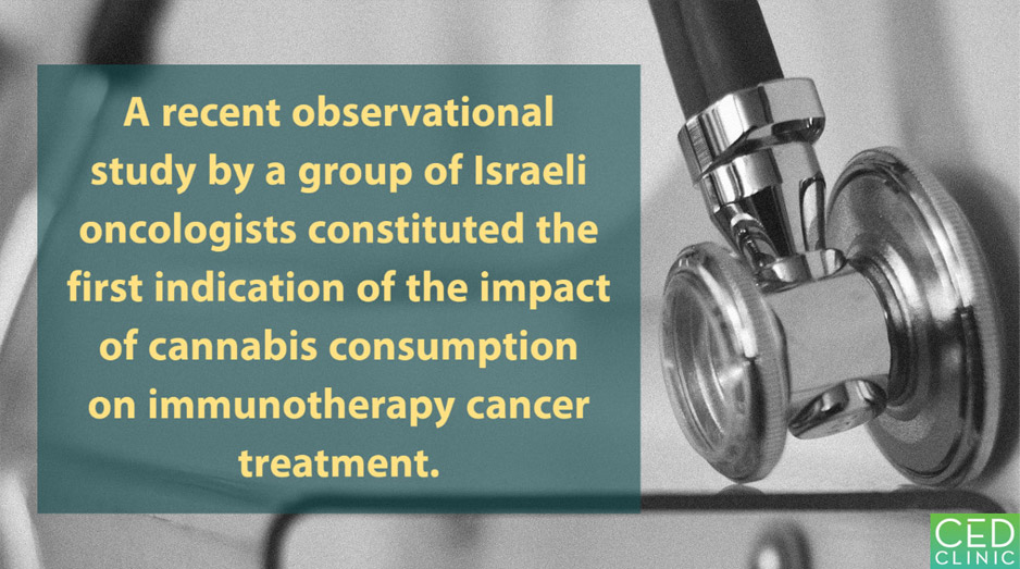Cannabis consumption by cancer patients who receive immunotherapy correlates with poor clinical outcomes