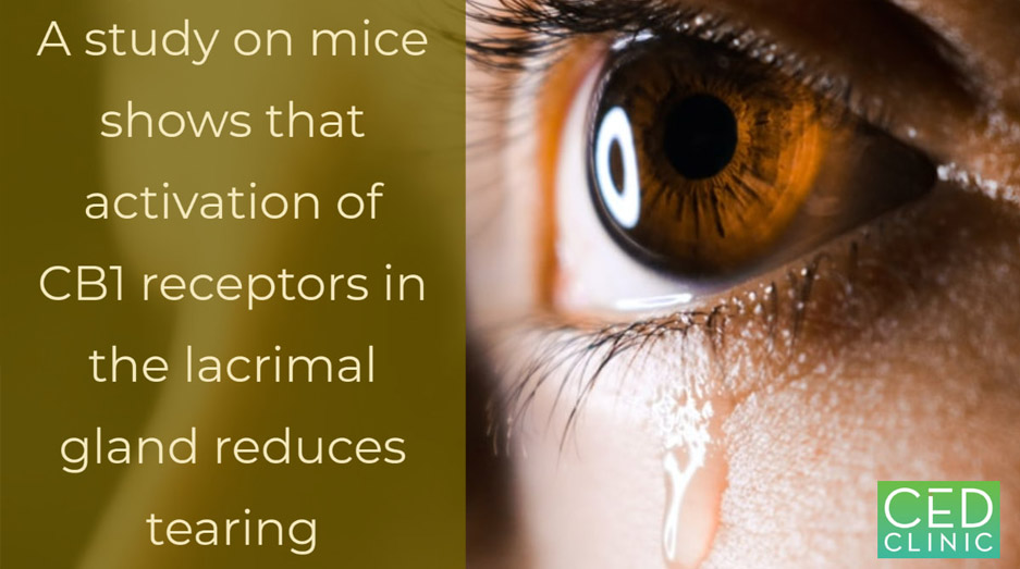 Dry eye and its link to cannabis and the endocannabinoid signaling system