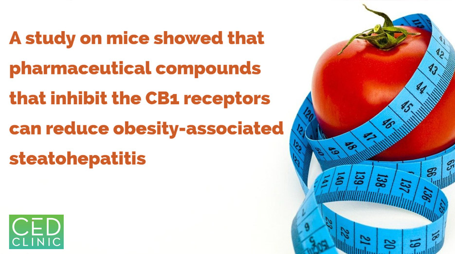 Drugs inhibiting cannabinoid receptor type 1 can reduce obesity-associated steatohepatitis